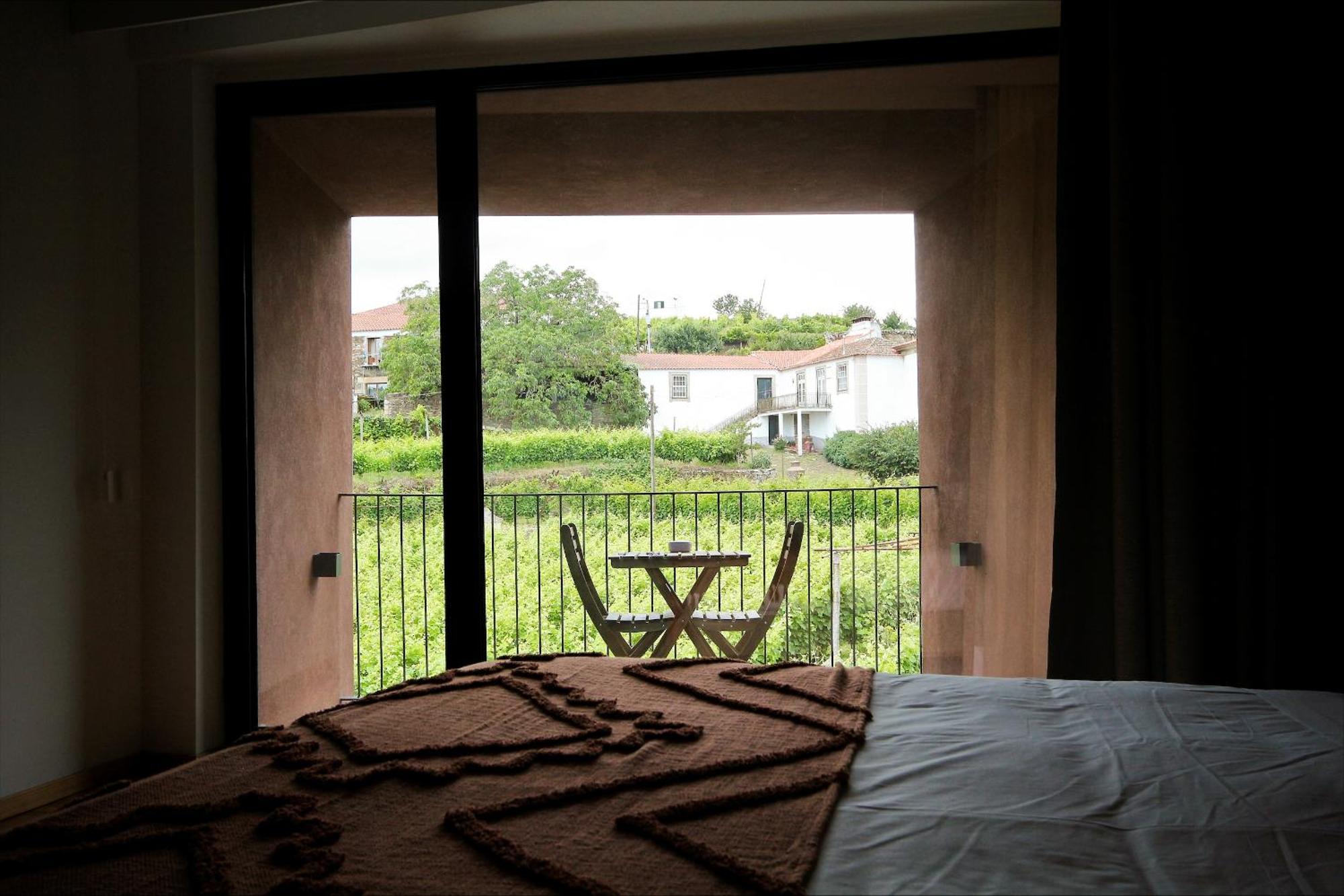 Casa Do Santo - Wine & Tourism Villa Provesende Eksteriør bilde