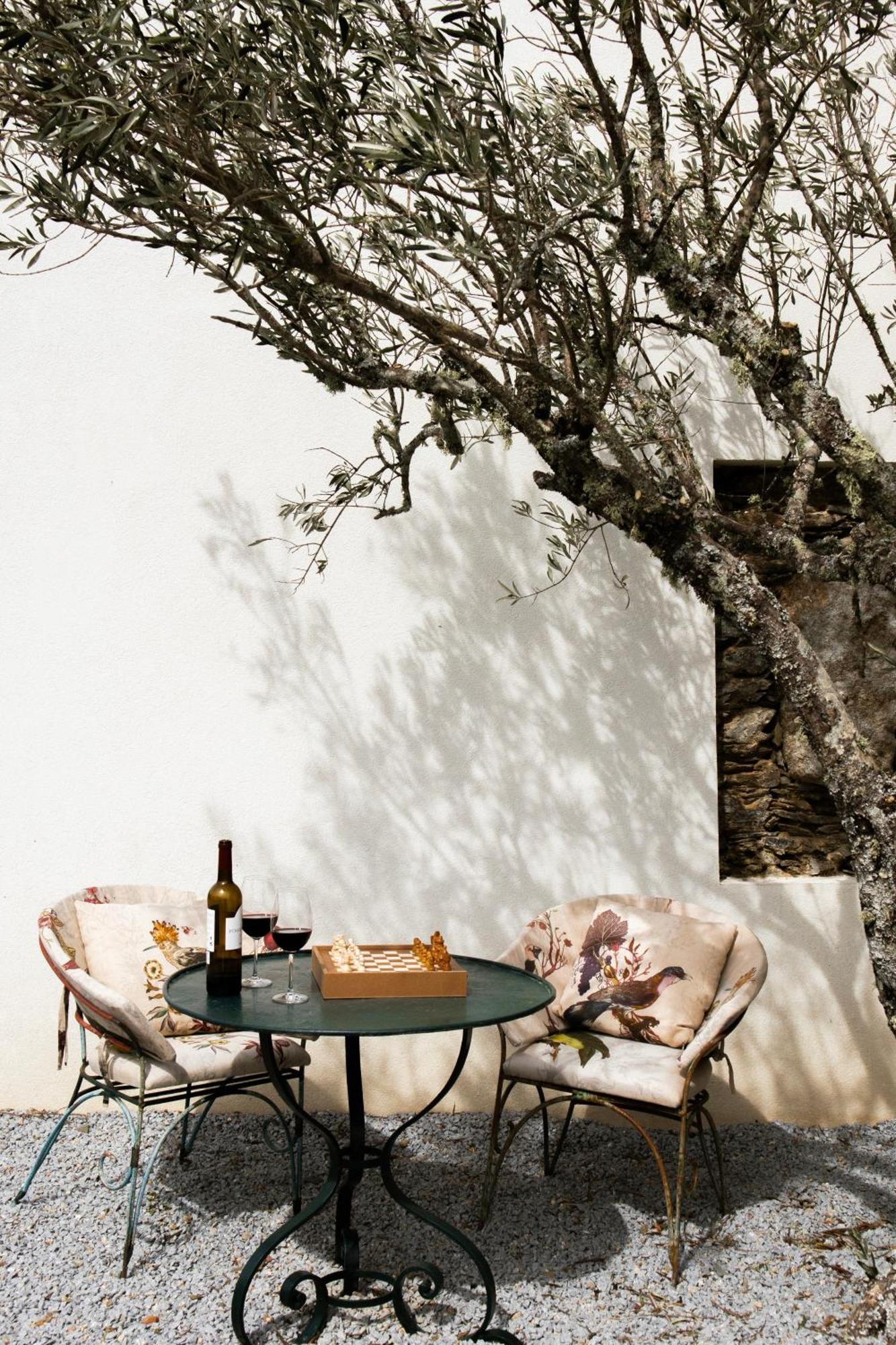 Casa Do Santo - Wine & Tourism Villa Provesende Eksteriør bilde