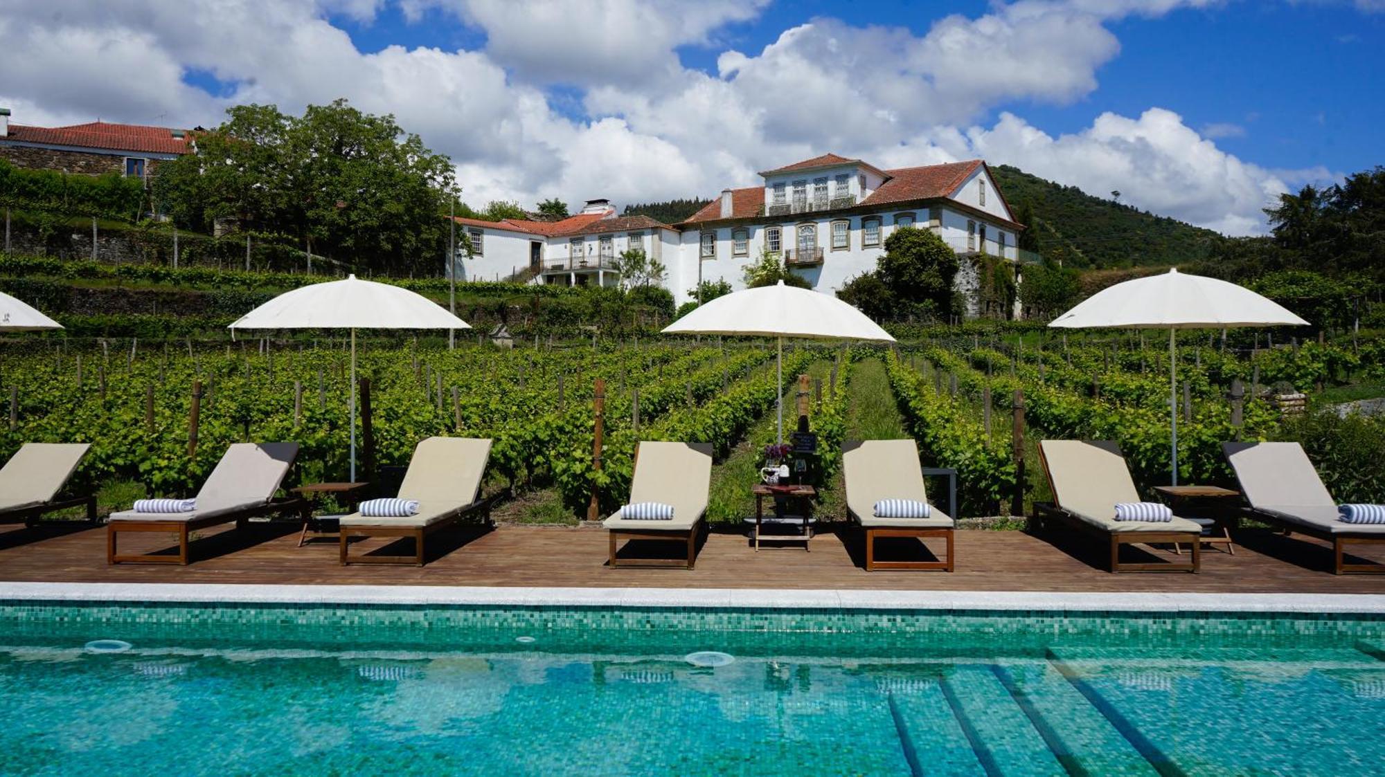Casa Do Santo - Wine & Tourism Villa Provesende Eksteriør bilde